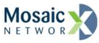 Mosaic Networks